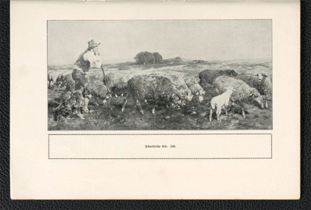 Heinrich v. Zugel 1911 (125255672)
