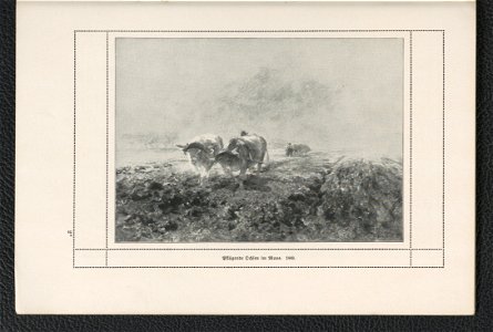 Heinrich v. Zugel 1911 (125255686)