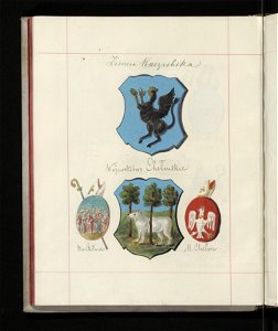 Herby Rzeczypospolitej Polskiej i W. X. Litewskiego. T. 1 1875-1900 (97742704)