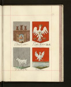 Herby Rzeczypospolitej Polskiej i W. X. Litewskiego. T. 12 (96600770)