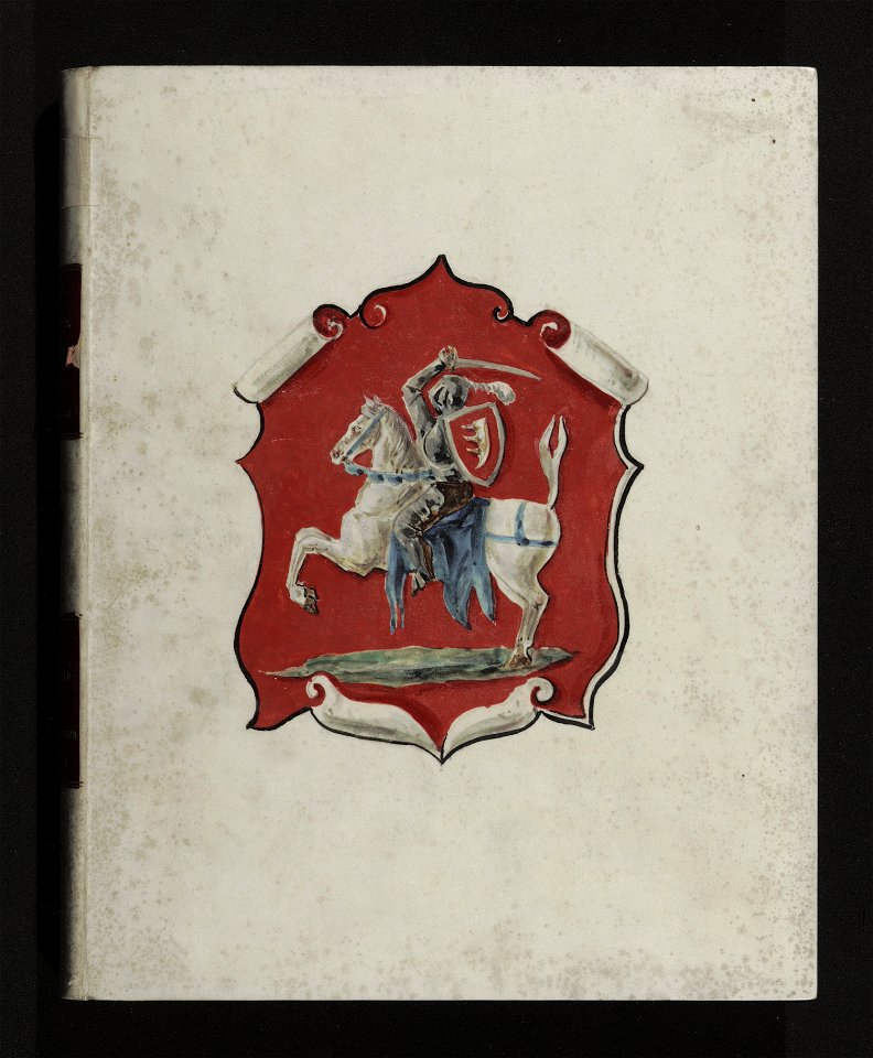 Herby Rzeczypospolitej Polskiej i W. X. Litewskiego. T. 10 (96774934)