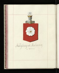 Herby Rzeczypospolitej Polskiej i W. X. Litewskiego. T. 11 (96626203)