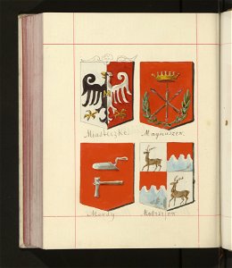 Herby Rzeczypospolitej Polskiej i W. X. Litewskiego. T. 12 (96600564)