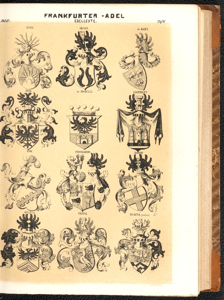 Grosses und allgemeines Wappenbuch Bd. 2 Abt. 8, Der Adel der fraien Stadt Frankfurt 1856 (125571052)