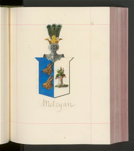 Herby Rzeczypospolitej Polskiej i W. X. Litewskiego. T. 13 (100010285)