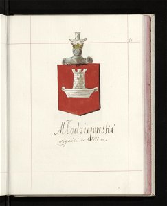 Herby Rzeczypospolitej Polskiej i W. X. Litewskiego. T. 11 (96626708)