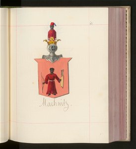 Herby Rzeczypospolitej Polskiej i W. X. Litewskiego. T. 13 (100010219)