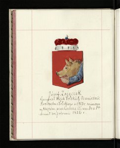 Herby Rzeczypospolitej Polskiej i W. X. Litewskiego. T. 11 (96625899)
