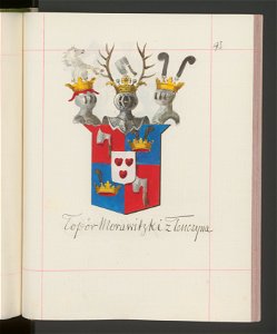 Herby Rzeczypospolitej Polskiej i W. X. Litewskiego. T. 13 (100013896)