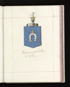 Herby Rzeczypospolitej Polskiej i W. X. Litewskiego. T. 11 (96626932)
