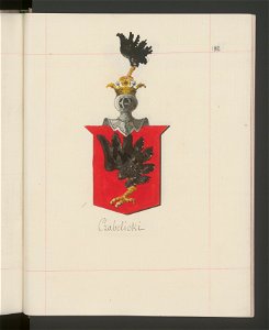 Herby Rzeczypospolitej Polskiej i W. X. Litewskiego. T. 13 (100014097)