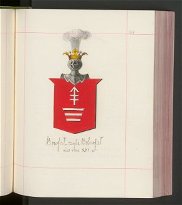Herby Rzeczypospolitej Polskiej i W. X. Litewskiego. T. 13 (100011796)