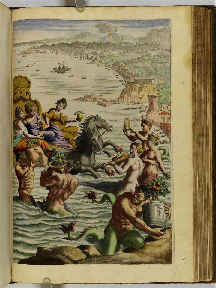 Hesperides sive de malorvm avreorvm cvltvra et vsv libri quatuor 1646 (6160419)