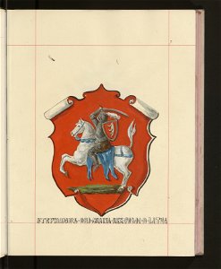 Herby Rzeczypospolitej Polskiej i W. X. Litewskiego. T. 9 (96906902)