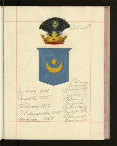 Herby Rzeczypospolitej Polskiej i W. X. Litewskiego. T. 9 (96907349)