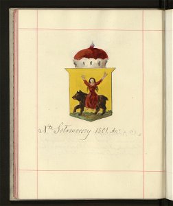 Herby Rzeczypospolitej Polskiej i W. X. Litewskiego. T. 9 (96907045)