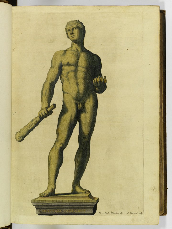 Hesperides sive de malorvm avreorvm cvltvra et vsv libri quatuor 1646 (6156628)