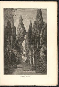 Histoire des jardins anciens et modernes - 1re serie 1887 (126725650)