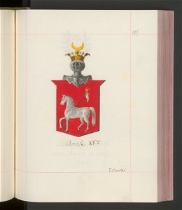 Herby Rzeczypospolitej Polskiej i W. X. Litewskiego. T. 13 (100012694)