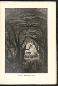 Histoire des jardins anciens et modernes - 1re serie 1887 (126725679)
