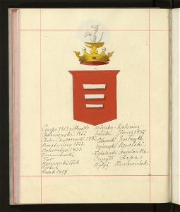 Herby Rzeczypospolitej Polskiej i W. X. Litewskiego. T. 9 (96907502)