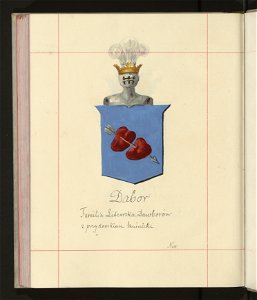 Herby Rzeczypospolitej Polskiej i W. X. Litewskiego. T. 9 (96910473)