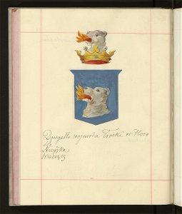 Herby Rzeczypospolitej Polskiej i W. X. Litewskiego. T. 9 (96907878)