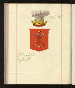 Herby Rzeczypospolitej Polskiej i W. X. Litewskiego. T. 9 (96908901)