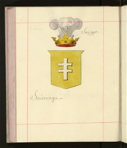 Herby Rzeczypospolitej Polskiej i W. X. Litewskiego. T. 9 (96909908)