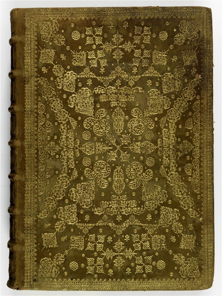 Hesperides sive de malorvm avreorvm cvltvra et vsv libri quatuor 1646 (6156416)