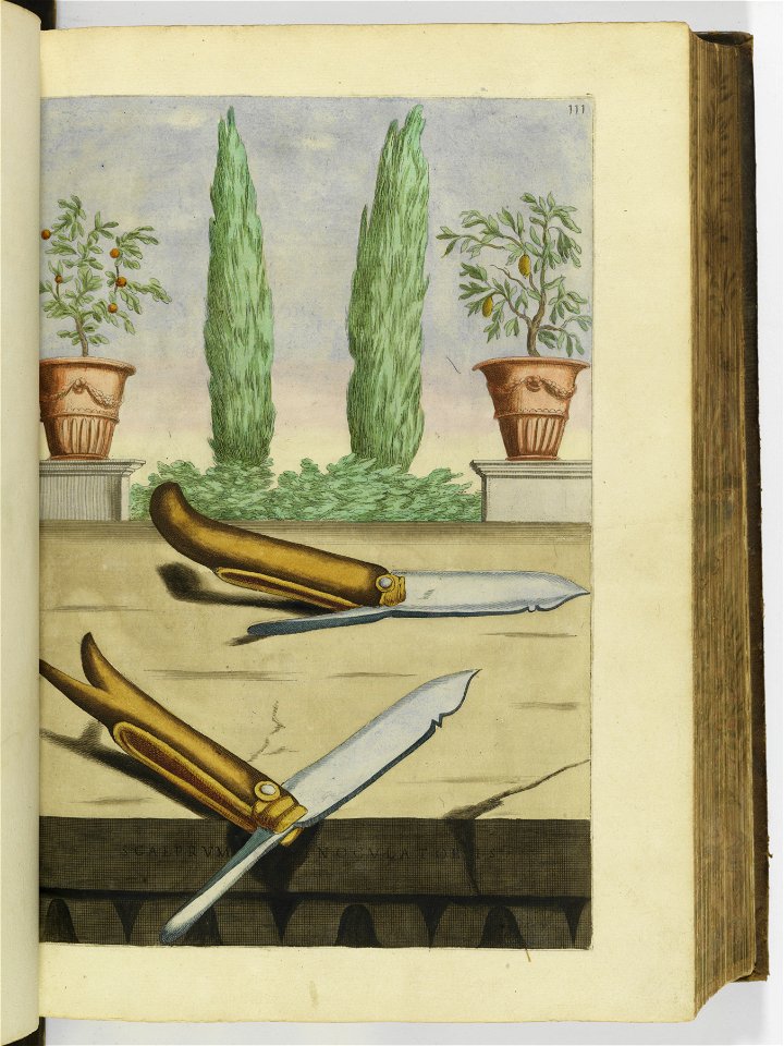 Hesperides sive de malorvm avreorvm cvltvra et vsv libri quatuor 1646 (6157357)