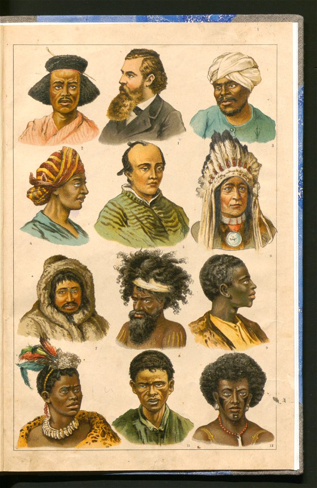 Historja naturalna zwierzat ssacych 1899 (103883880)