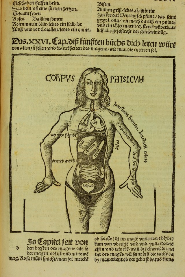 Hieronymus Brunschwig Liber de arte Distillandi 306 AQ12 (1)