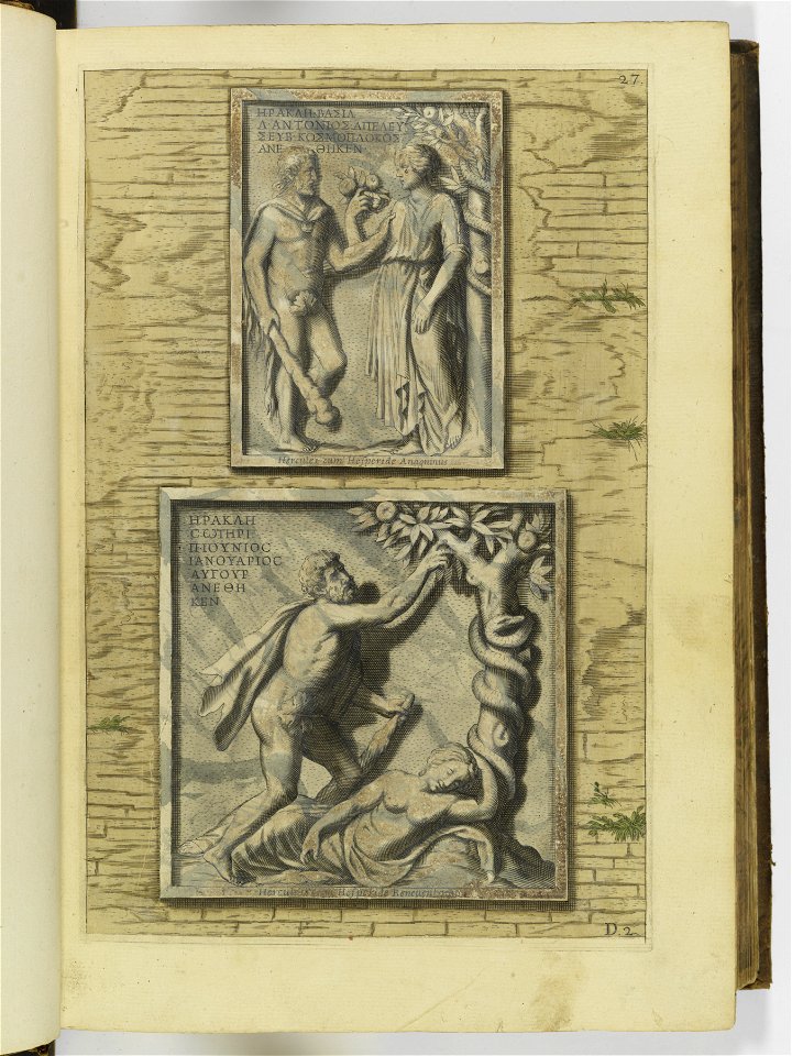 Hesperides sive de malorvm avreorvm cvltvra et vsv libri quatuor 1646 (6156714)