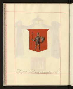Herby Rzeczypospolitej Polskiej i W. X. Litewskiego. T. 9 (96906898)