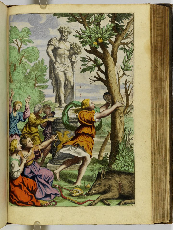 Hesperides sive de malorvm avreorvm cvltvra et vsv libri quatuor 1646 (6160165)