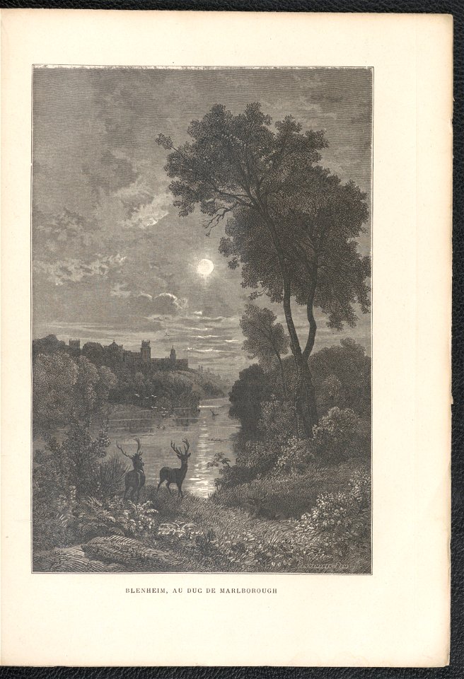 Histoire des jardins anciens et modernes - 1re serie 1887 (126726416)