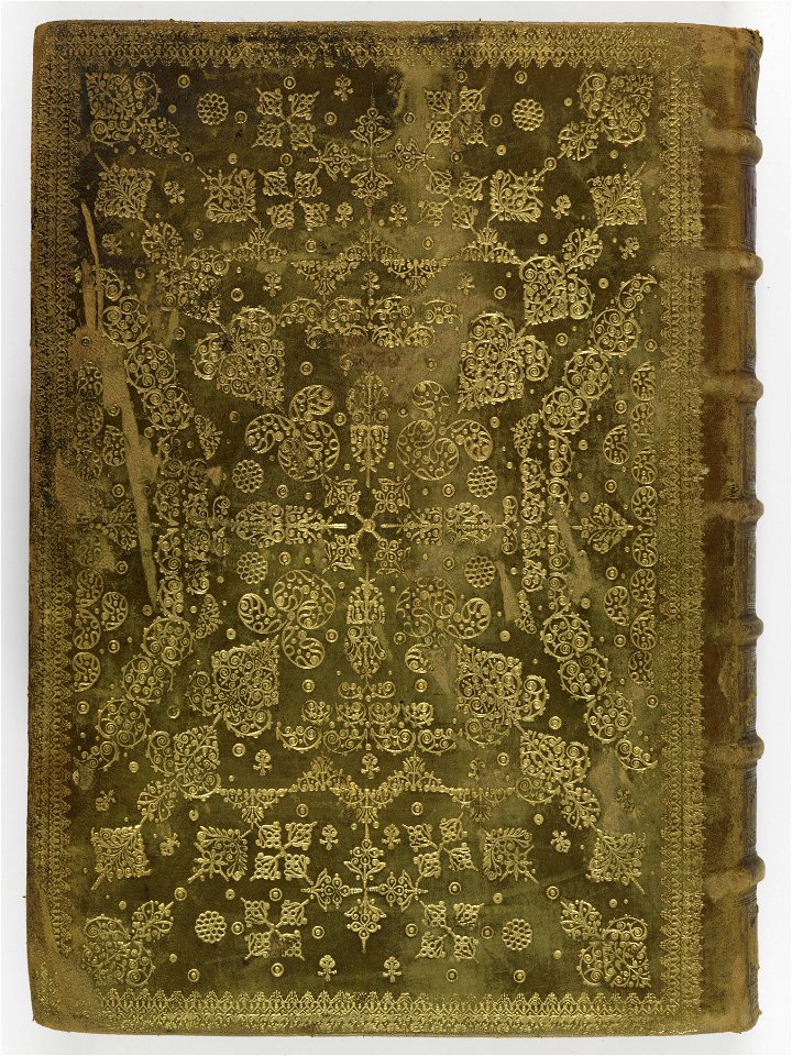 Hesperides sive de malorvm avreorvm cvltvra et vsv libri quatuor 1646 (6160811)
