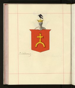 Herby Rzeczypospolitej Polskiej i W. X. Litewskiego. T. 9 (96909199)