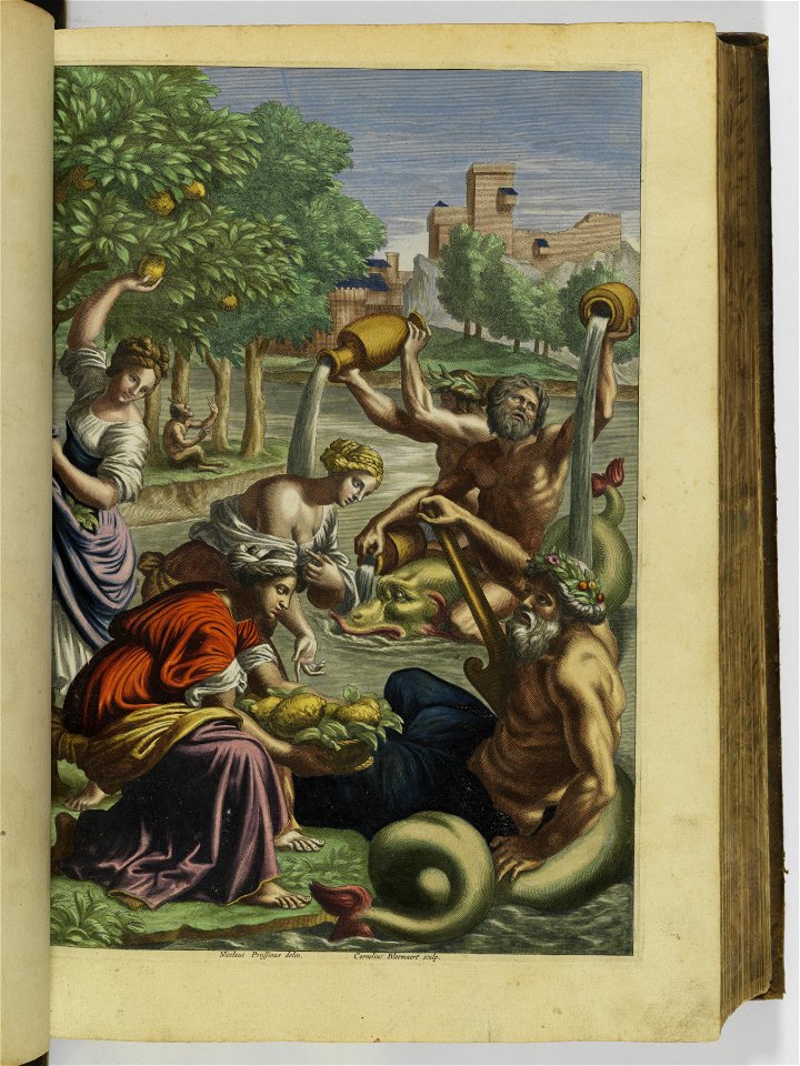 Hesperides sive de malorvm avreorvm cvltvra et vsv libri quatuor 1646 (6157272)