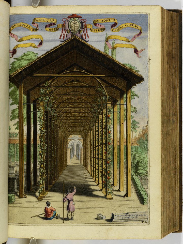 Hesperides sive de malorvm avreorvm cvltvra et vsv libri quatuor 1646 (6157621)