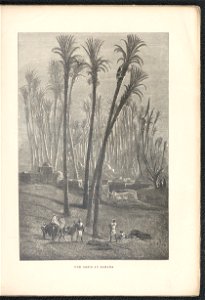 Histoire des jardins anciens et modernes - 1re serie 1887 (126725407)