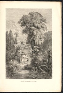 Histoire des jardins anciens et modernes - 1re serie 1887 (126725383)