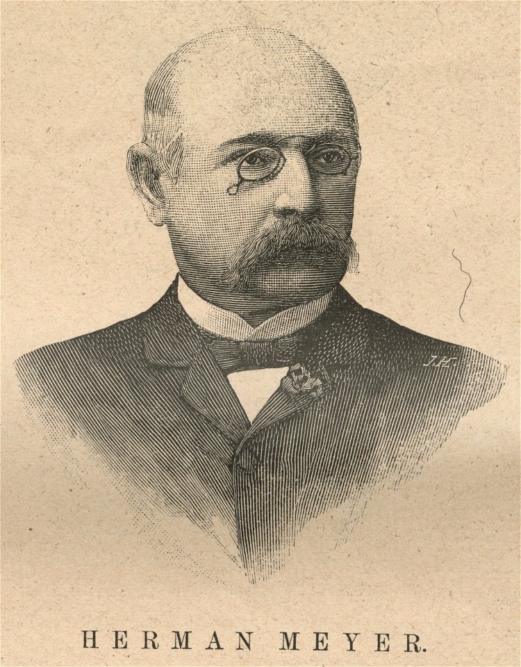 Herman Mayer (60513)