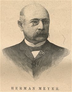 Herman Mayer (60513)