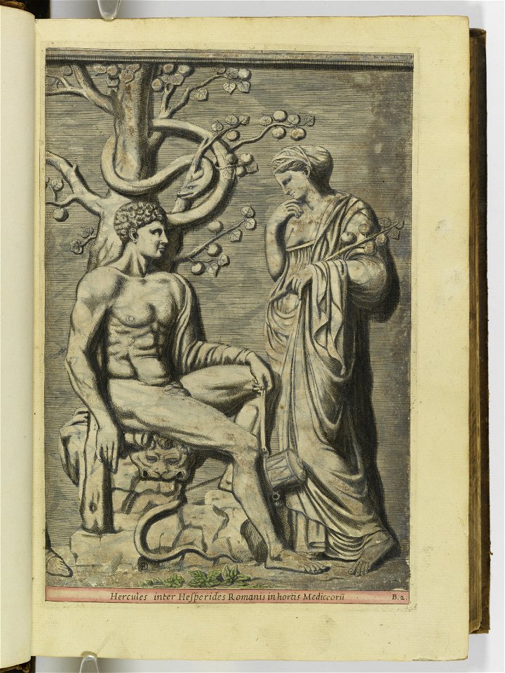 Hesperides sive de malorvm avreorvm cvltvra et vsv libri quatuor 1646 (6156606)