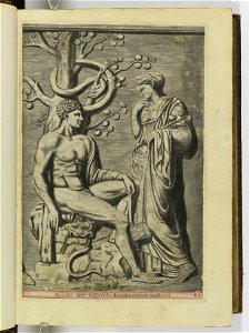 Hesperides sive de malorvm avreorvm cvltvra et vsv libri quatuor 1646 (6156606)