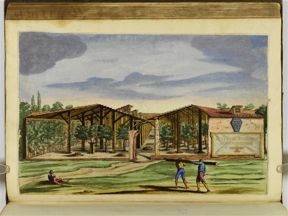 Hesperides sive de malorvm avreorvm cvltvra et vsv libri quatuor 1646 (6160557)
