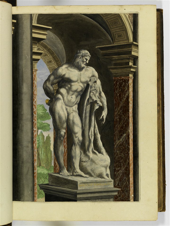 Hesperides sive de malorvm avreorvm cvltvra et vsv libri quatuor 1646 (6156751)