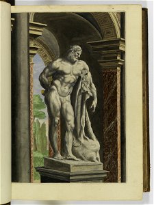 Hesperides sive de malorvm avreorvm cvltvra et vsv libri quatuor 1646 (6156751)